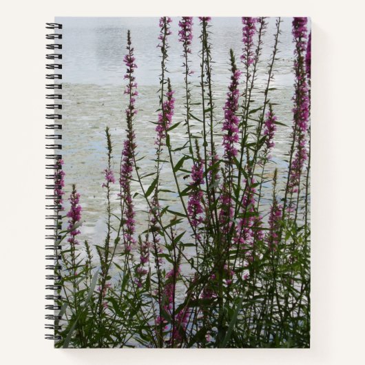 Carnet Flore rose par le lac N (Devant)
