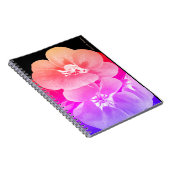 Carnet Flore tropicale (Côté Droit)