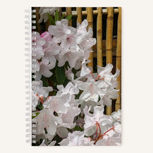 Carnet Flores de Rhododendron blanc et de clôture de bamb (Recto)