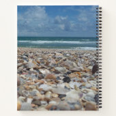 Carnet Floride Coquillage Atlantique Plage de l'océan Atl (Dos)