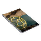 Carnet Flotte japonaise de pêche au verre (Côté Droit)