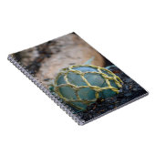 Carnet Flotteur de pêche en verre, vertical (Côté Droit)