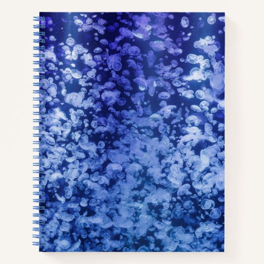 Carnet Flow – Jellyfish Notebook for Calm Thinking (Devant)