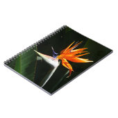 Carnet Flower tropical orange paradise (Côté gauche)