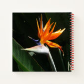 Carnet Flower tropical orange paradise (Dos)