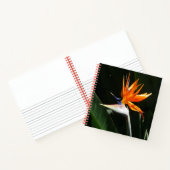 Carnet Flower tropical orange paradise (Intérieur)