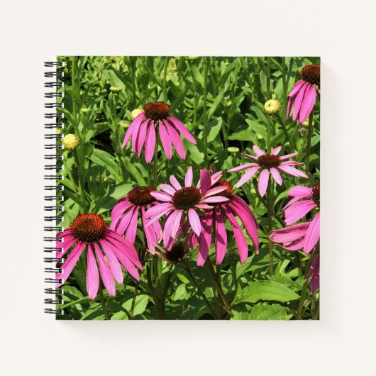 Carnet Flowers at Château Morrisette Winery, Floyd, VA (Devant)