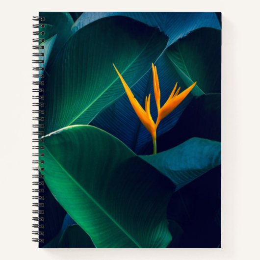 Carnet Flowers | Bird of Paradise (Devant)
