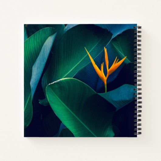 Carnet Flowers | Bird of Paradise (Dos)