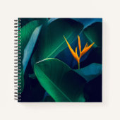 Carnet Flowers | Bird of Paradise (Devant)
