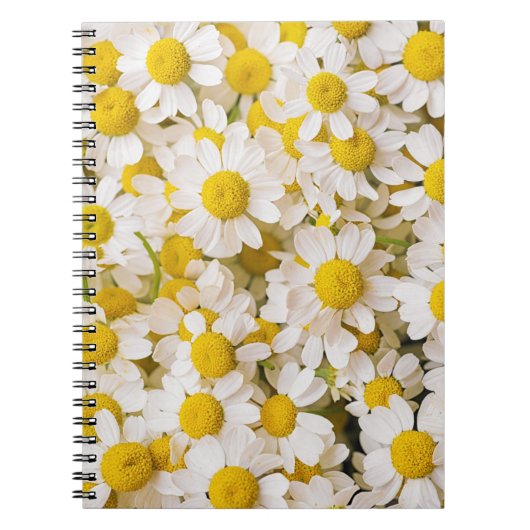 Carnet Flowers (homonymie) | Bunch of Chamomiles (Devant)