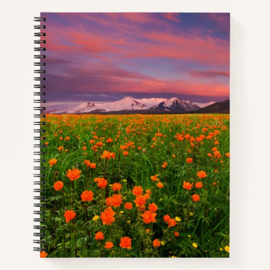 Carnet Flowers (homonymie) | Fayot Field Snowcapped Mount (Devant)
