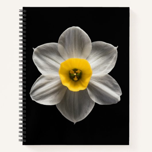 Carnet Flowers (homonymie) Flower blanc (Devant)