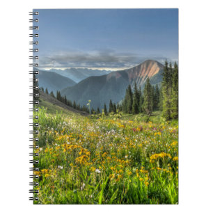 Carnet Flowers (homonymie)   Wildflowers Silverton Colora