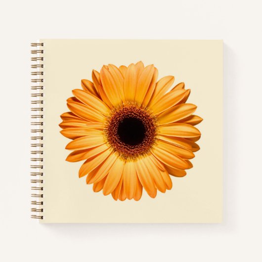 Carnet Flowers | Orange Gerbera (Devant)