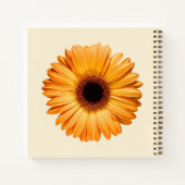 Carnet Flowers | Orange Gerbera (Dos)