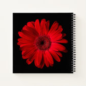 Carnet Flowers | Red Gerbera Daisy (Dos)