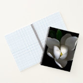 Carnet Flowers | Single White Magnolia Blossom (Intérieur)