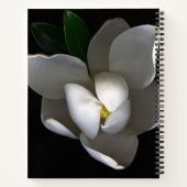 Carnet Flowers | Single White Magnolia Blossom (Dos)