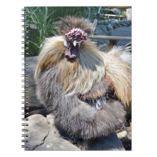 Carnet Fluffy Charm Imperfection : Un Rooster Silky Uniqu