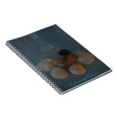 Carnet (Flute&Shells) RFPMDesigns ©️ 2012 (Côté Droit)