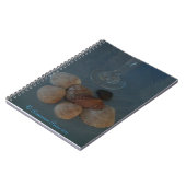 Carnet (Flute&Shells) RFPMDesigns ©️ 2012 (Côté gauche)