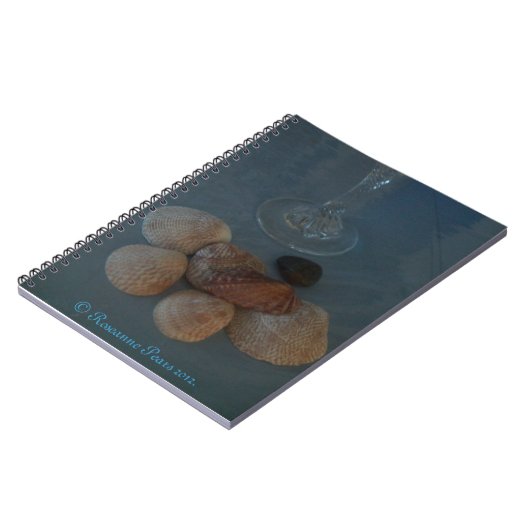Carnet (Flute&Shells) RFPMDesigns ©️ 2012 (Côté gauche)
