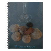 Carnet (Flute&Shells) RFPMDesigns ©️ 2012 (Devant)