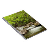 Carnet Flux De Fourche Droite À Travers La Forêt (Côté Droit)