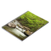 Carnet Flux De Fourche Droite À Travers La Forêt (Côté gauche)