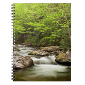 Carnet Flux De Fourche Droite À Travers La Forêt (Devant)