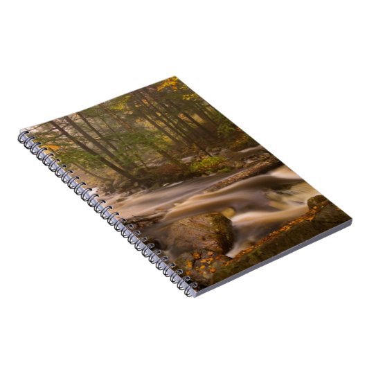 Carnet Flux Flux Sentier Appalachien | Vermont (Côté Droit)