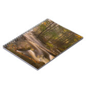 Carnet Flux Flux Sentier Appalachien | Vermont (Côté gauche)