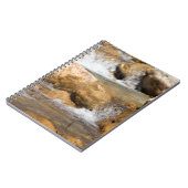 Carnet Flux orageux au printemps (Côté gauche)