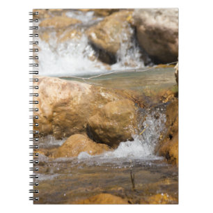 Carnet Flux orageux au printemps
