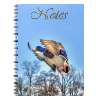 Carnet Flying Mallard Duck Drake Wildlife Photo