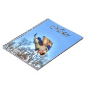 Carnet Flying Mallard Duck Drake Wildlife Photo (Côté gauche)