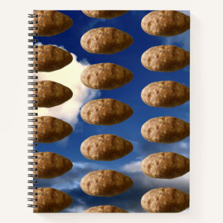 Carnet Flying Potatoes Space Potato Invasion