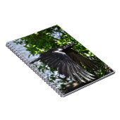 Carnet Flying Raven in Sunlight Wildlife Photo (Côté Droit)