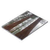 Carnet Foggy Matin & Neige Printemps Sous Séquoia Géante (Côté gauche)