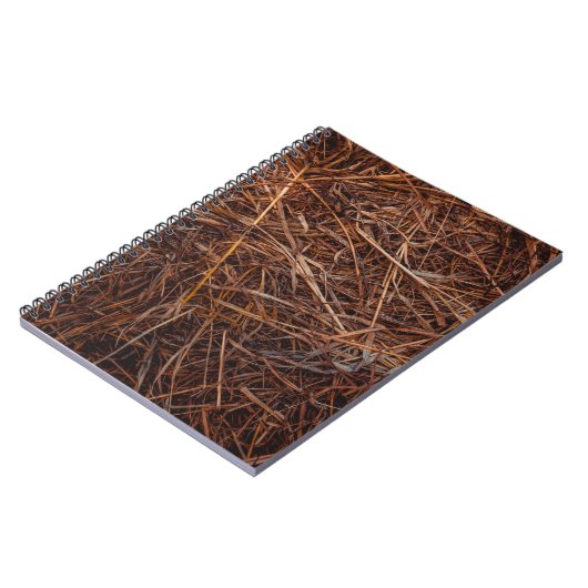 Carnet foin Brown (Côté gauche)