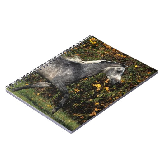 Carnet Fonctionnement d'Arabes : Automne (Côté gauche)