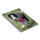 Carnet Fonctionnement de chiot de border collie (Côté Droit)