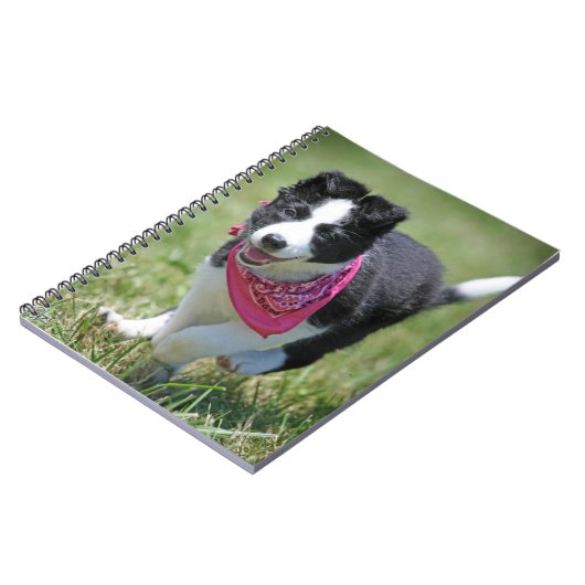 Carnet Fonctionnement de chiot de border collie (Côté gauche)