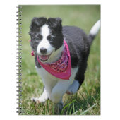 Carnet Fonctionnement de chiot de border collie (Devant)