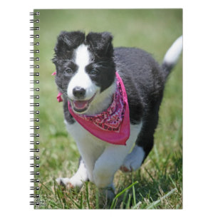Carnet Fonctionnement de chiot de border collie