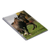 Carnet Fonctionnement de poulain (Côté Droit)