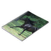 Carnet Fonctionnement de pur sang (Côté gauche)