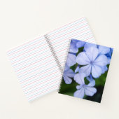Carnet Fond floral bleu (Intérieur)