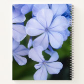 Carnet Fond floral bleu (Dos)
